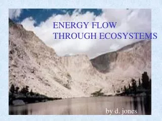 ENERGY FLOW THROUGH ECOSYSTEMS