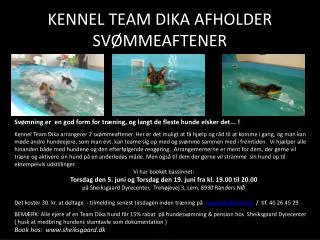 kennel team dika afholder sv mmeaftener