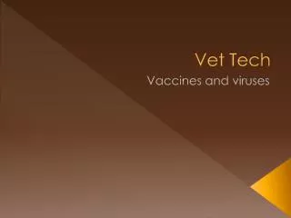 Vet Tech