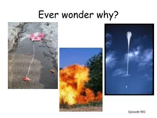 Ever wonder why?