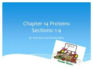 Chapter 14 Proteins Sections: 1-4