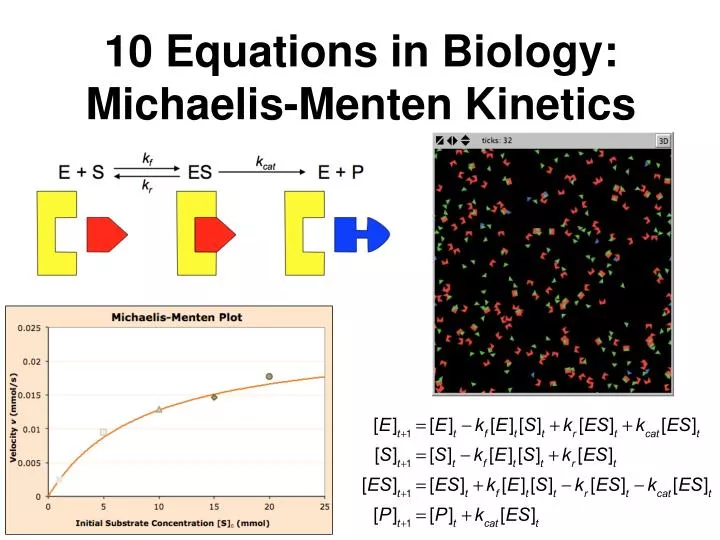 10 equations in biology michaelis menten kinetics