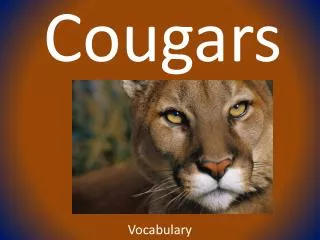 Cougars