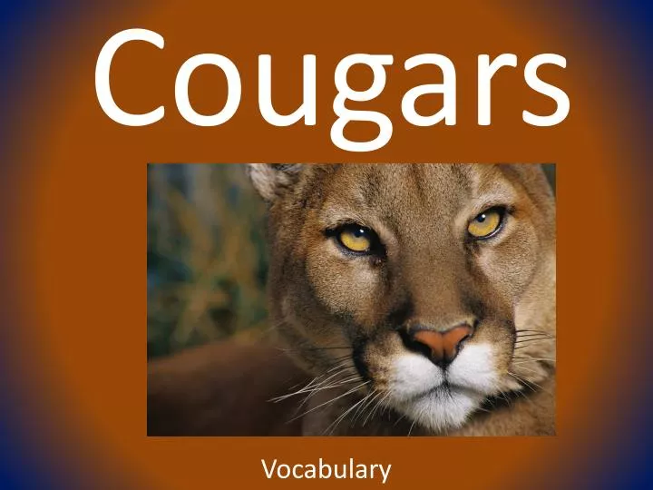 cougars