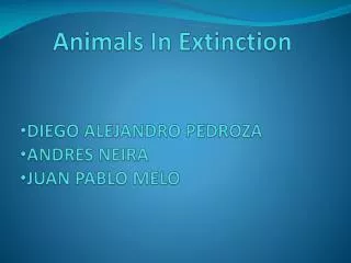 Animals In Extinction
