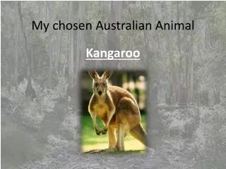My chosen Australian Animal