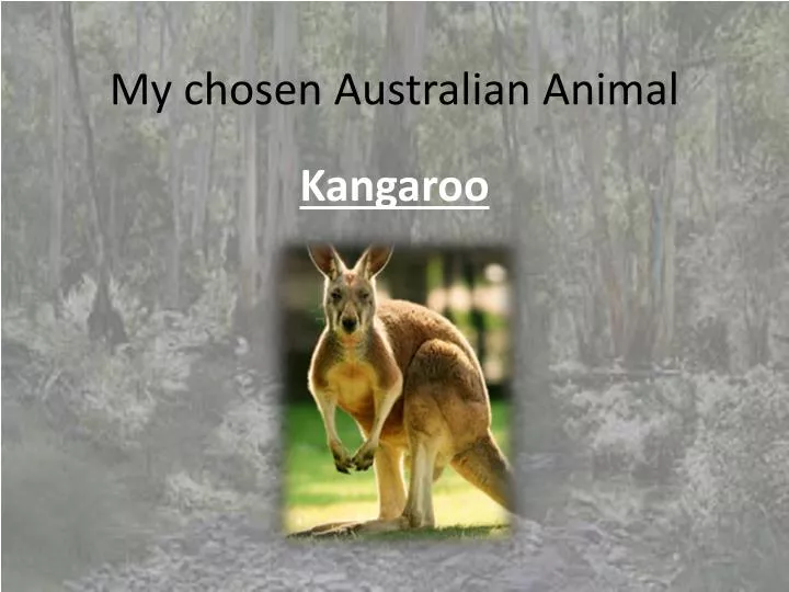 my chosen australian animal