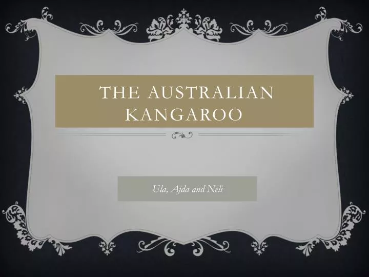 the australian kangaroo