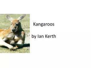 Kangaroos by Ian K erth