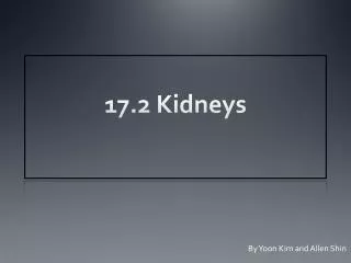 17.2 Kidneys