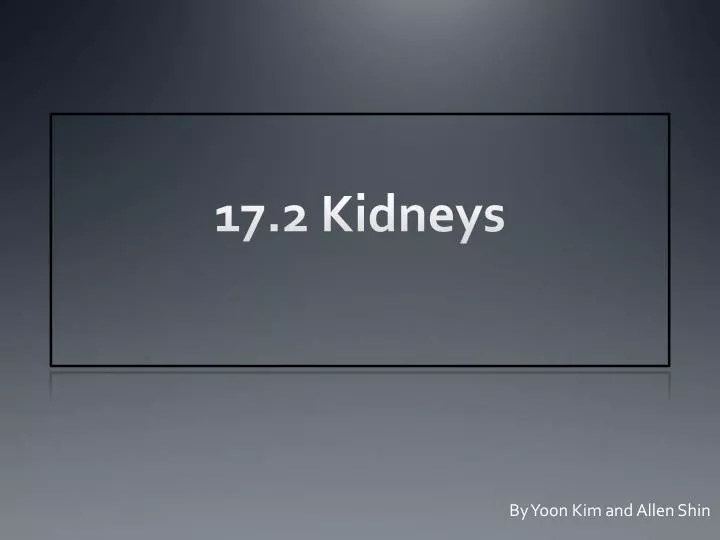 17 2 kidneys