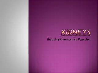kidneys