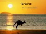 kangaroo - slide 1