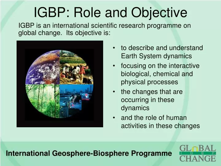 igbp role and objective