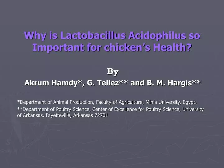 why is lactobacillus acidophilus so important for chicken s health