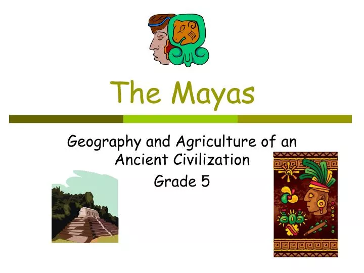 the mayas