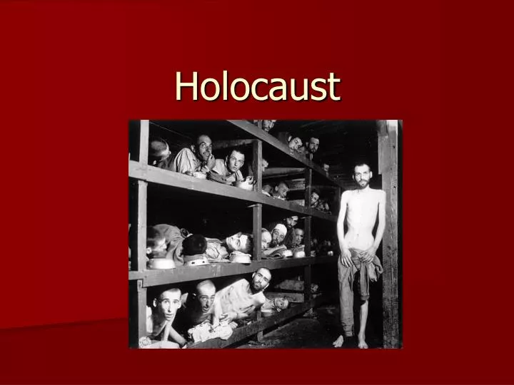 holocaust