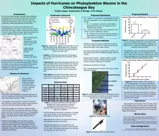 Impacts of Hurricanes on Phytoplankton Blooms in the Chincoteague Bay