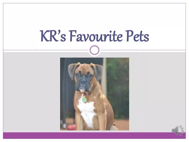 kr s favourite pets