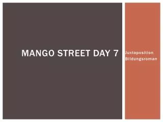 Mango Street day 7