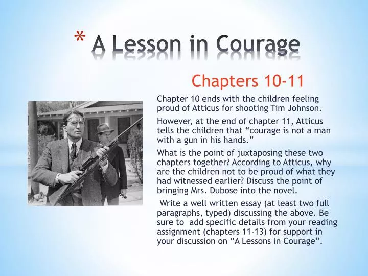 a lesson in courage