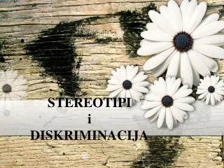 stereotipi i diskriminacija