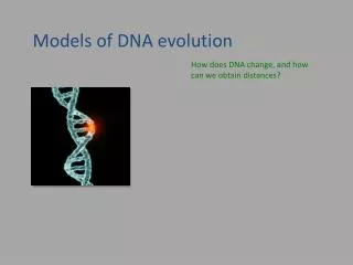 Models of DNA evolution