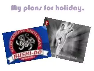 My plans for holiday .