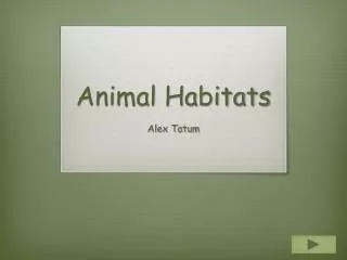 Animal Habitats