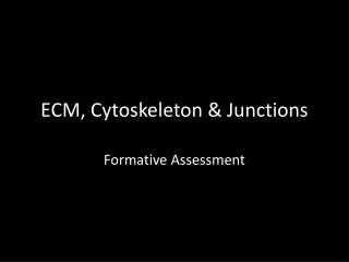 ECM, Cytoskeleton &amp; Junctions