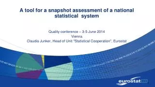 A tool for a snapshot assessment of a national statistical system