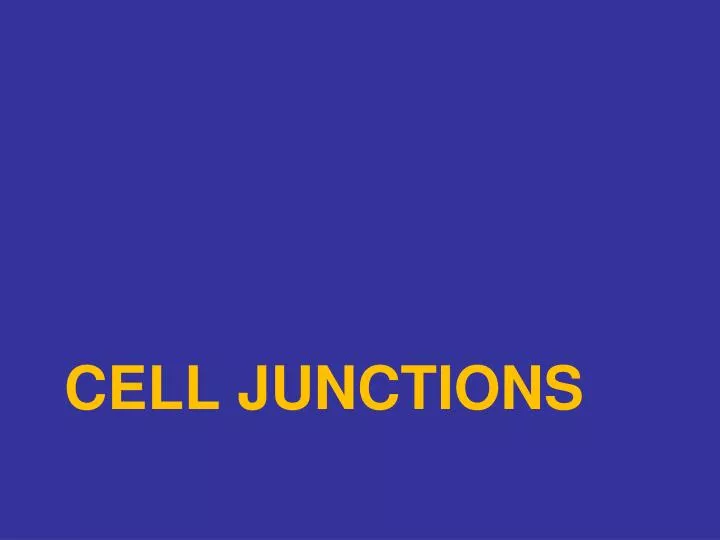 cell junctions