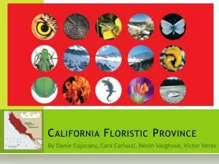 California Floristic Province