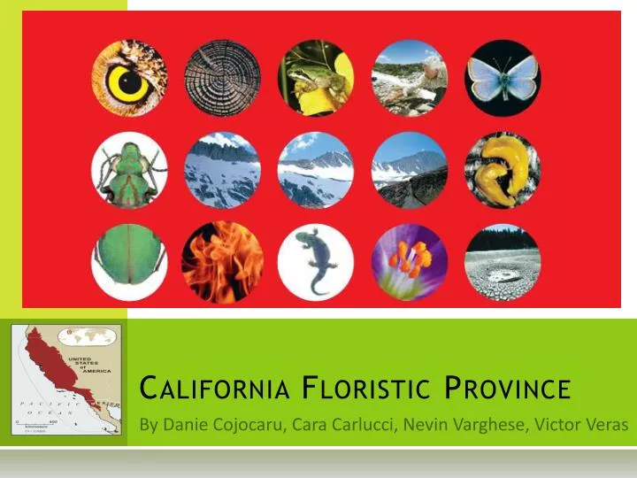 california floristic province
