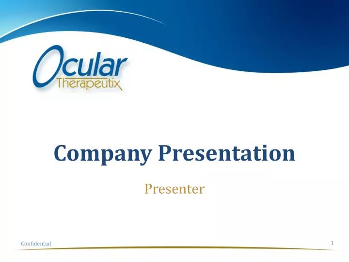 company presentation