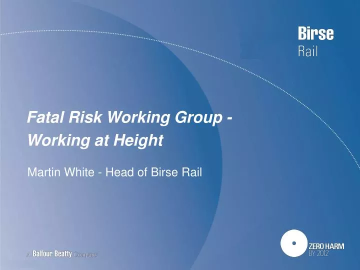 fatal risk working group working at height