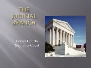 the judicial branch