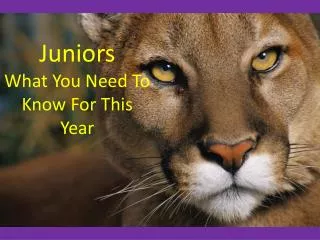 Juniors What You Need To Know For This Year