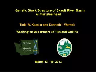 Genetic Stock Structure of Skagit River Basin winter steelhead