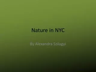 Nature in NYC