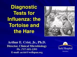 Diagnostic Tests for Influenza: the Tortoise and the Hare