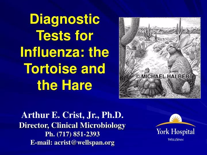 diagnostic tests for influenza the tortoise and the hare