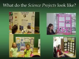 What do the Science Projects look like?