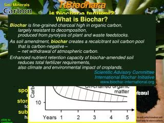 is biochar a fertilizer?