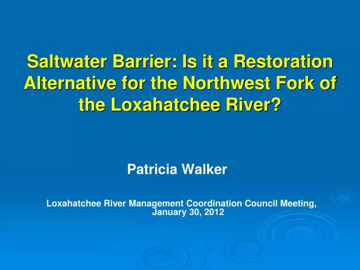 saltwater barrier is it a restoration alternative for the northwest fork of the loxahatchee river