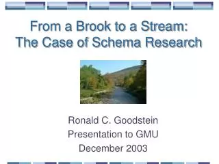 From a Brook to a Stream: The Case of Schema Research