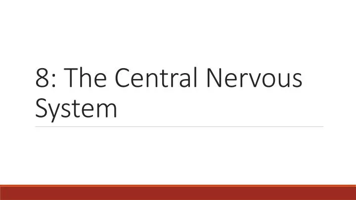 8 the central nervous system