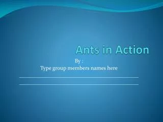 Ants in Action