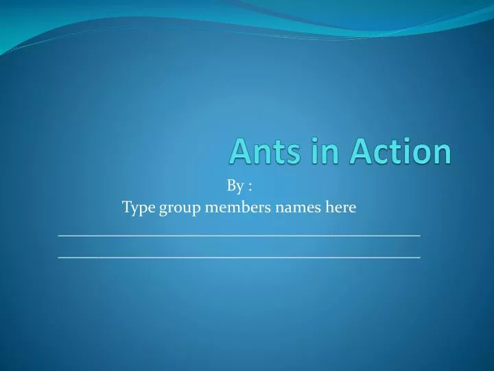 ants in action