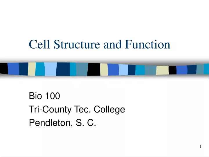 cell structure and function